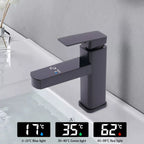 Real-Time LED Temp Display Matte Black Faucet