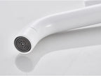 Single-Handle Ceramic Valve Basin Faucet (Single-Hole Deck-Mount)