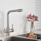 Solid Brass 2-in-1 Filtered Kitchen Faucet (Single-Handle)