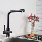 Solid Brass 2-in-1 Filtered Kitchen Faucet (Single-Handle)