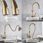 Solid Brass Pull-Down & 360° Swivel Kitchen Faucet