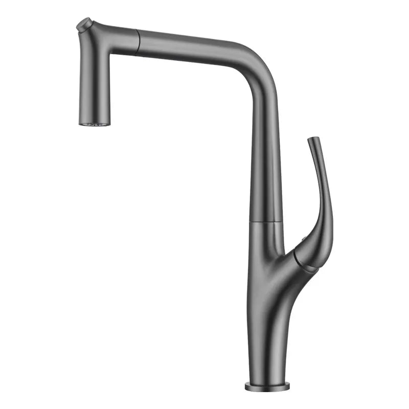 Solid Brass Pull-Out 360° Swivel Kitchen Faucet
