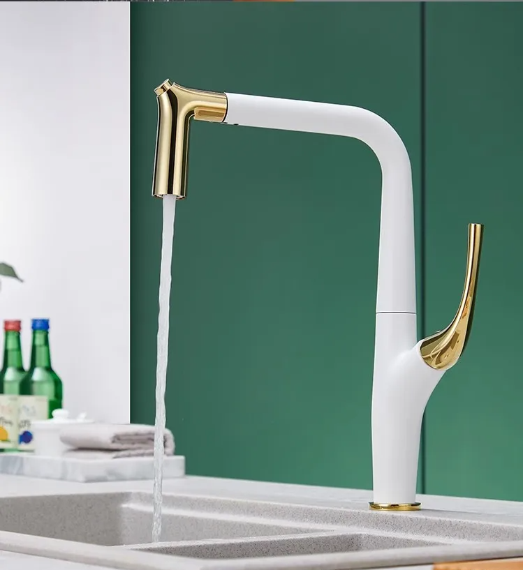 Solid Brass Pull-Out 360° Swivel Kitchen Faucet