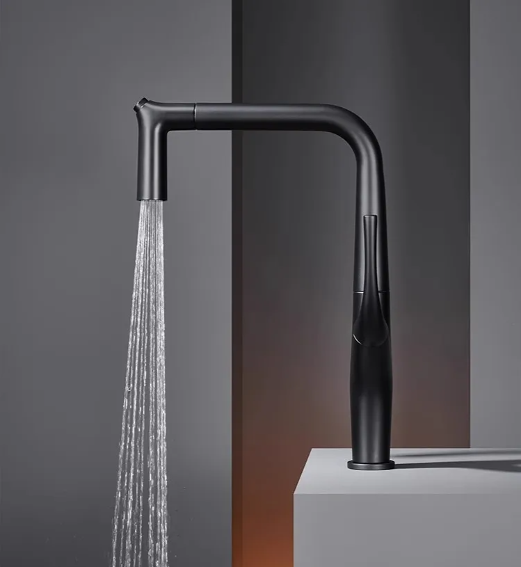 Solid Brass Pull-Out 360° Swivel Kitchen Faucet