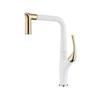 Solid Brass Pull-Out 360° Swivel Kitchen Faucet