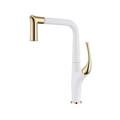 Solid Brass Pull-Out 360° Swivel Kitchen Faucet