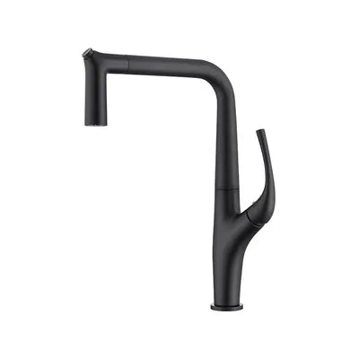 Solid Brass Pull-Out 360° Swivel Kitchen Faucet