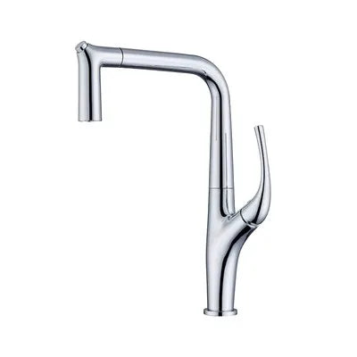 Solid Brass Pull-Out 360° Swivel Kitchen Faucet
