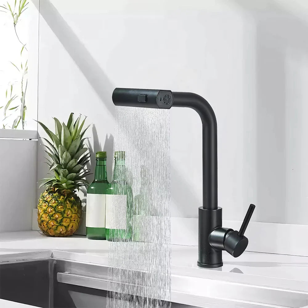 Stainless Steel 360° Swivel Pull-Down Kitchen Faucet