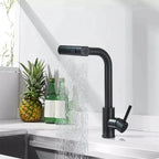 Stainless Steel 360° Swivel Pull-Down Kitchen Faucet