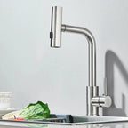 Stainless Steel 6-Function Pull-Out Kitchen Faucet