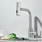 Stainless Steel 6-Function Pull-Out Kitchen Faucet