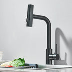 Stainless Steel 6-Function Pull-Out Kitchen Faucet