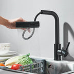 Stainless Steel 6-Function Pull-Out Kitchen Faucet