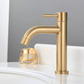 Stainless Steel Ceramic-Valve Bathroom Faucet (Single-Handle)