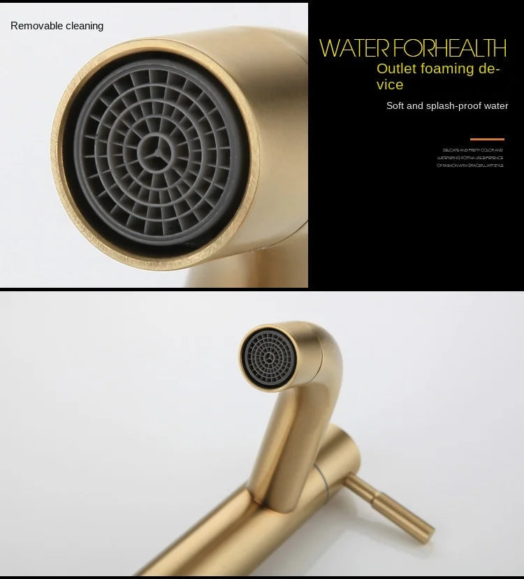 Stainless Steel Ceramic-Valve Bathroom Faucet (Single-Handle)