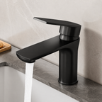 Stainless Steel Single-Handle Bathroom Faucet (Deck-Mounted)