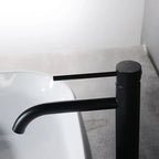 Stainless Steel Tall Single-Lever Bathroom Faucet