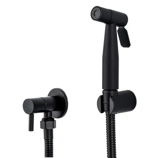 Stainless Steel Wall-Mount Handheld Bidet Sprayer