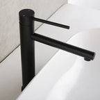 Tall Single-Handle Stainless Steel Basin Faucet