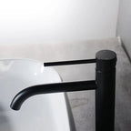 Tall Single-Handle Stainless Steel Basin Faucet
