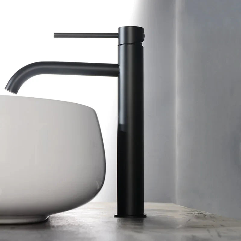 Tall Single-Handle Stainless Steel Basin Faucet