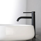 Tall Single-Handle Stainless Steel Basin Faucet