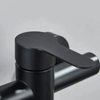 Wall-Mounted 360° Swivel Pull-Out Spray Mixer Tap