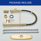 Brass 360° Swivel Kitchen Faucet (Hydroelectric LED)