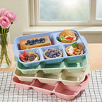 Break-Resistant 5-Compartment Dinner Plate (Set of 2)