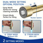 Brass 360° Swivel Kitchen Faucet (Hydroelectric LED)